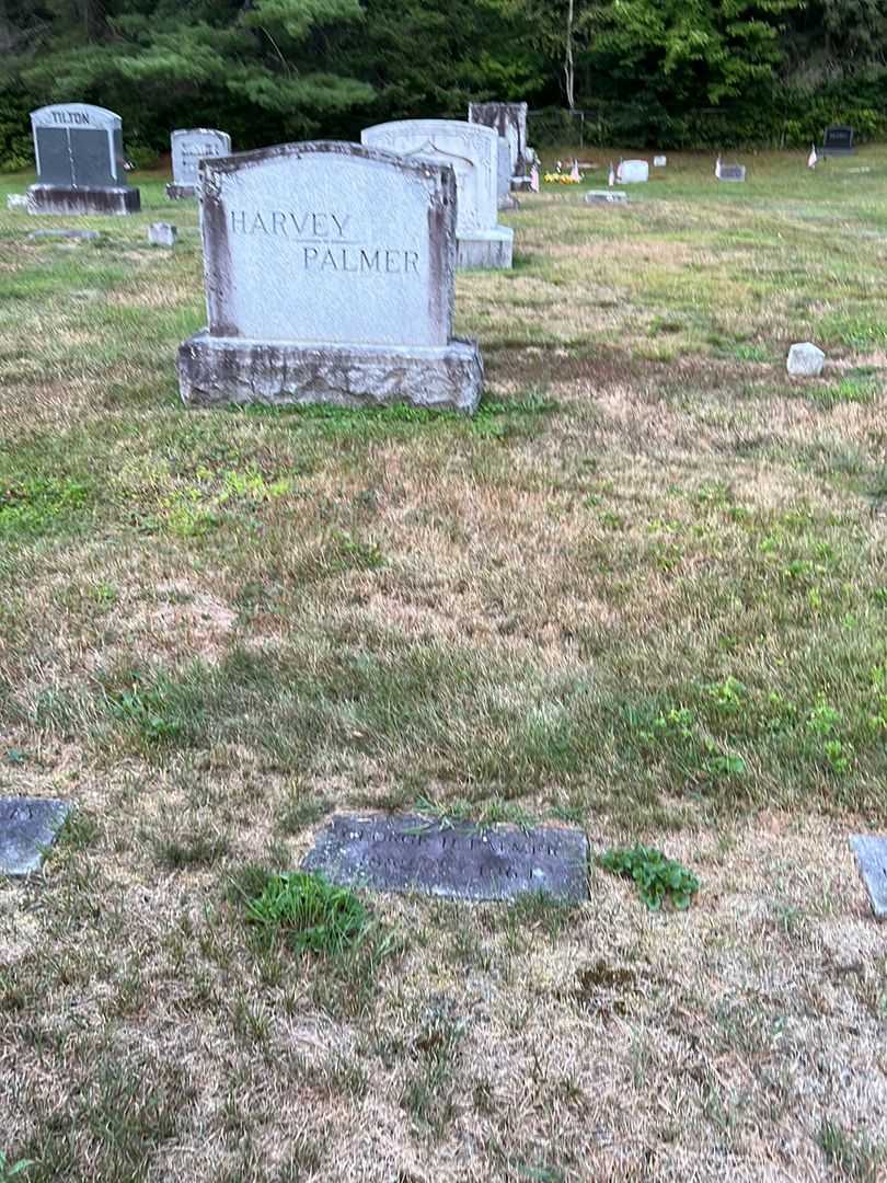 George H. Palmer's grave. Photo 2