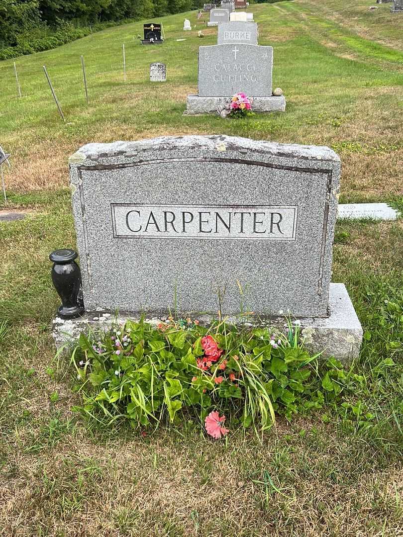 Frank Leslie Carpenter's grave. Photo 1