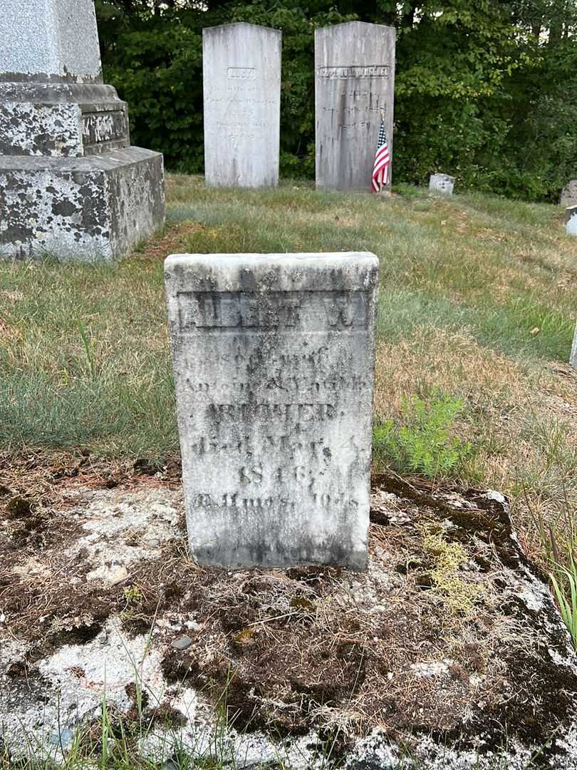 Albert W. Richer's grave. Photo 2