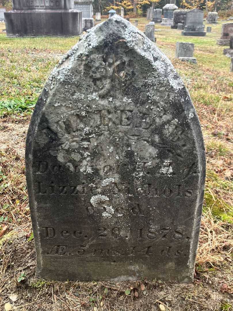 Mabel B. Nichols's grave. Photo 2