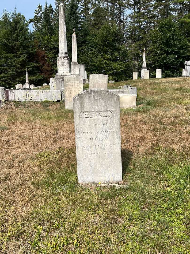 Eliza Owen's grave. Photo 1