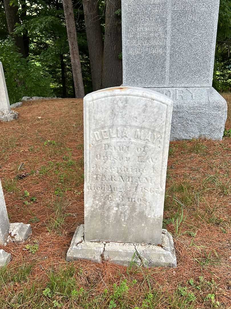 Delia May Farnham's grave. Photo 2