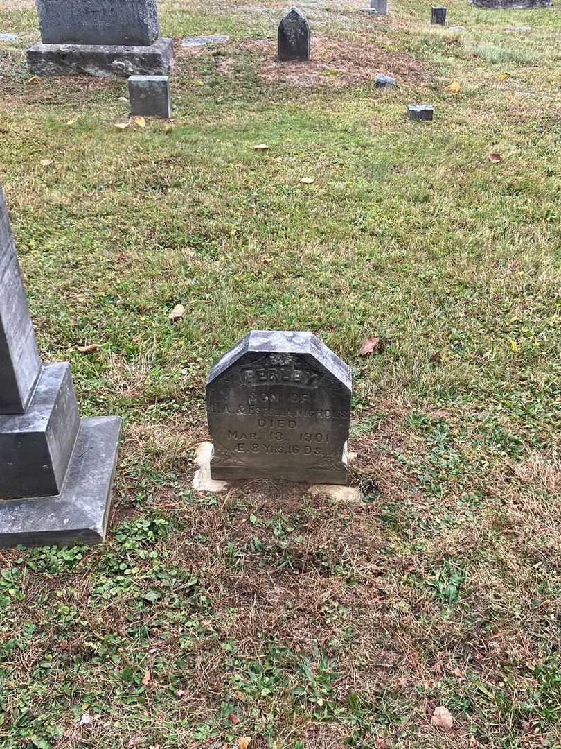 Perley Nichols's grave. Photo 1
