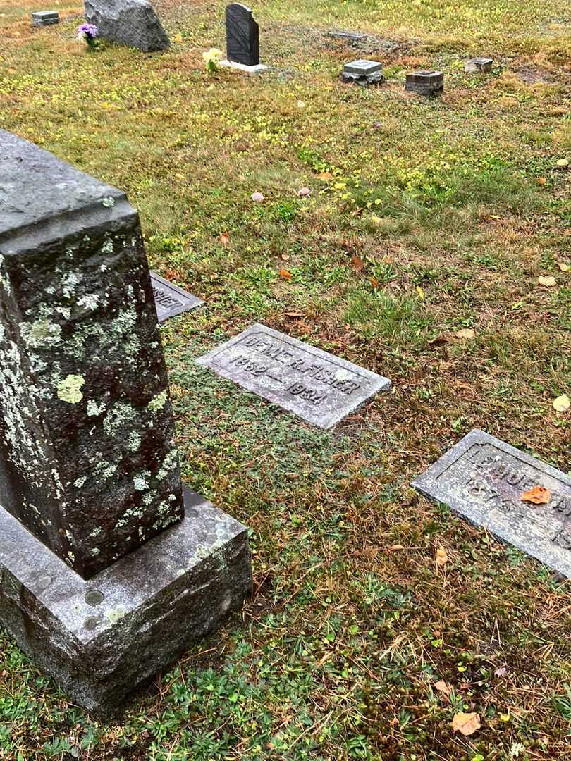Demie R. Fisher's grave. Photo 2