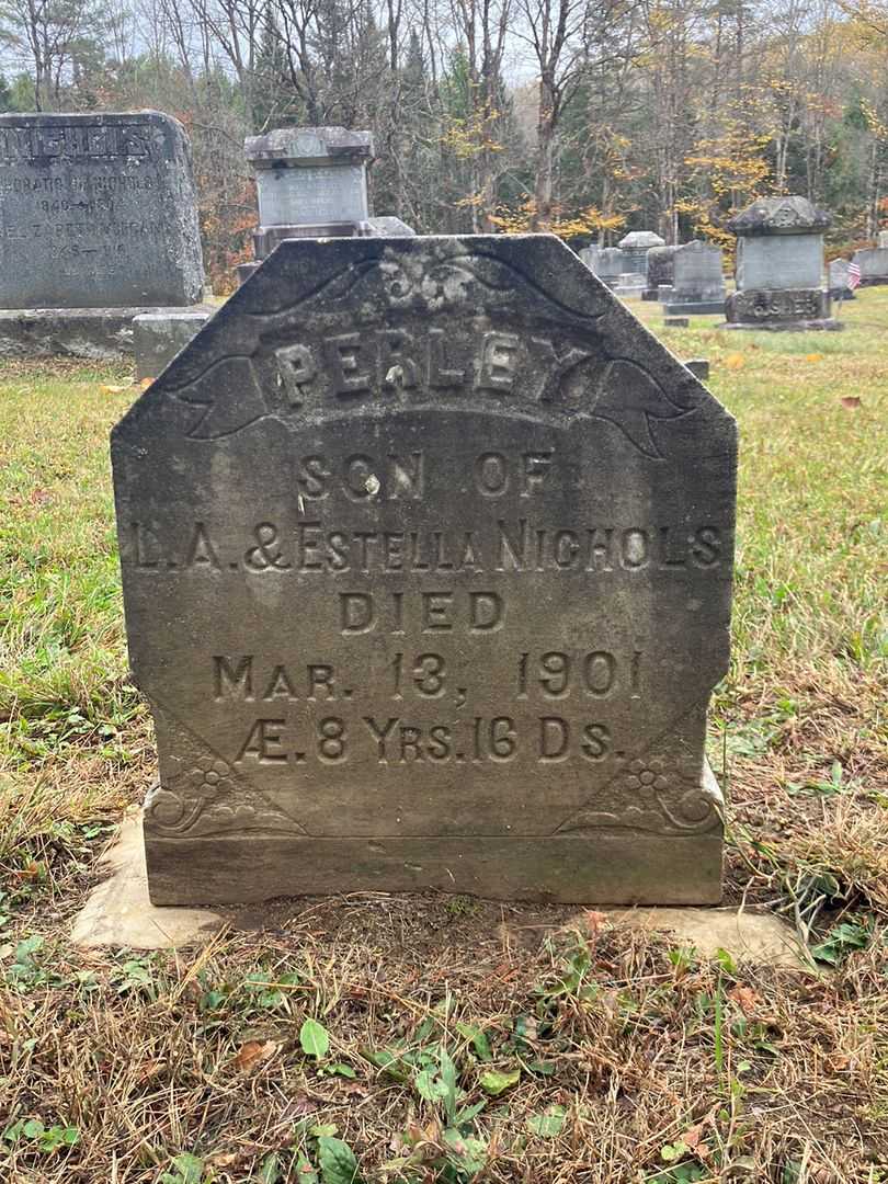 Perley Nichols's grave. Photo 2