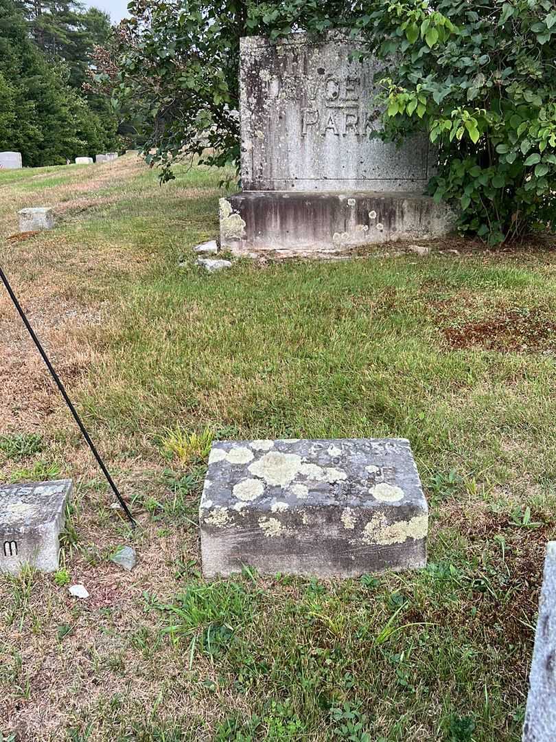 Lucy Parker Devoe's grave. Photo 2