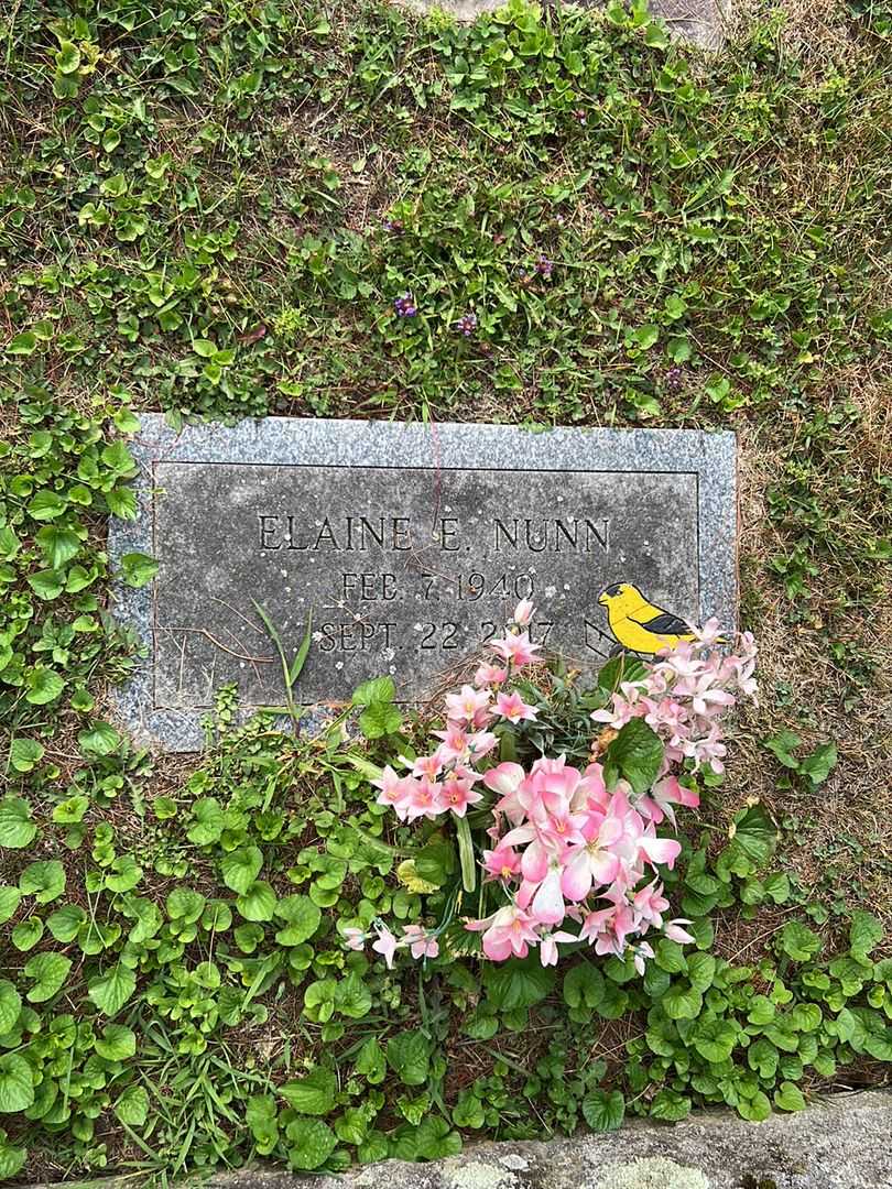 Melvin Reed Hale's grave. Photo 2