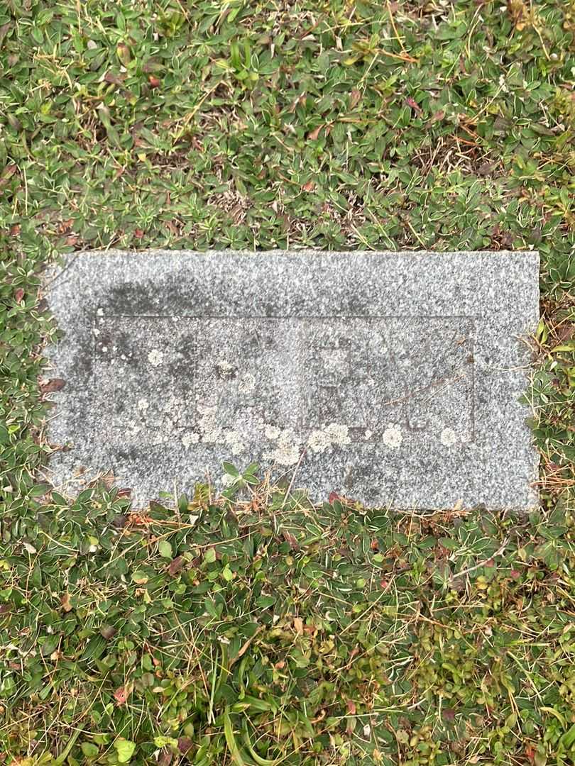 Mary L. Kellogg Rogers's grave. Photo 3