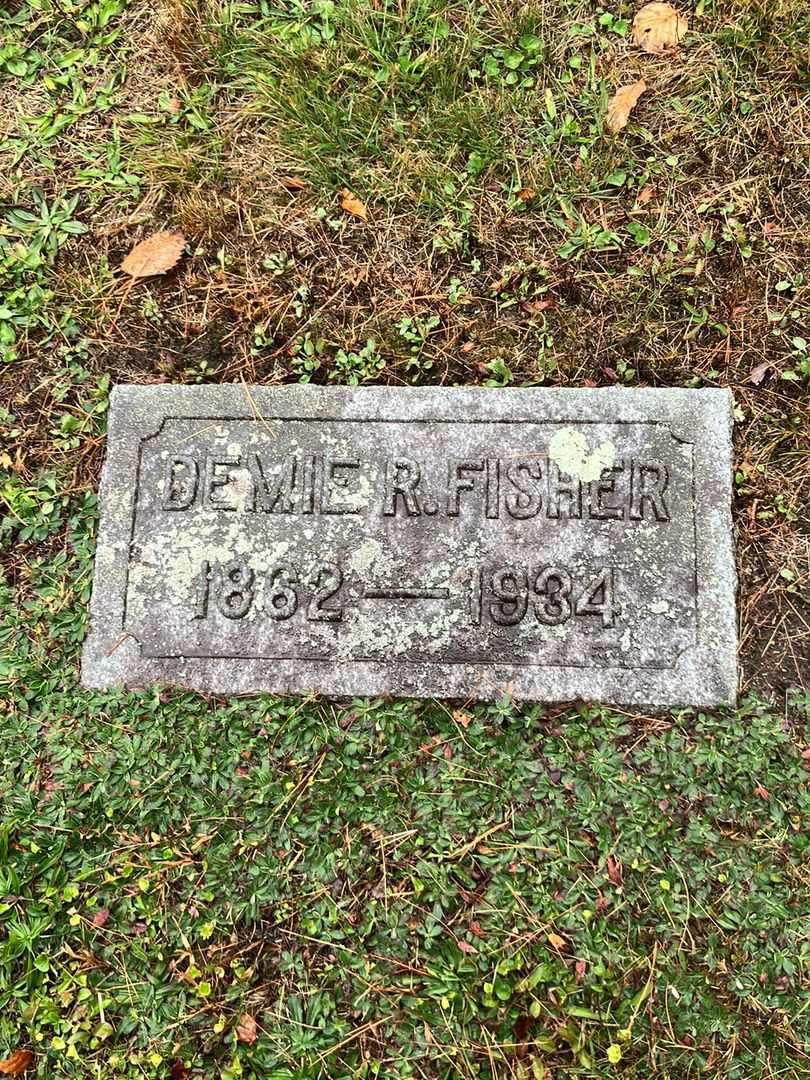Demie R. Fisher's grave. Photo 3