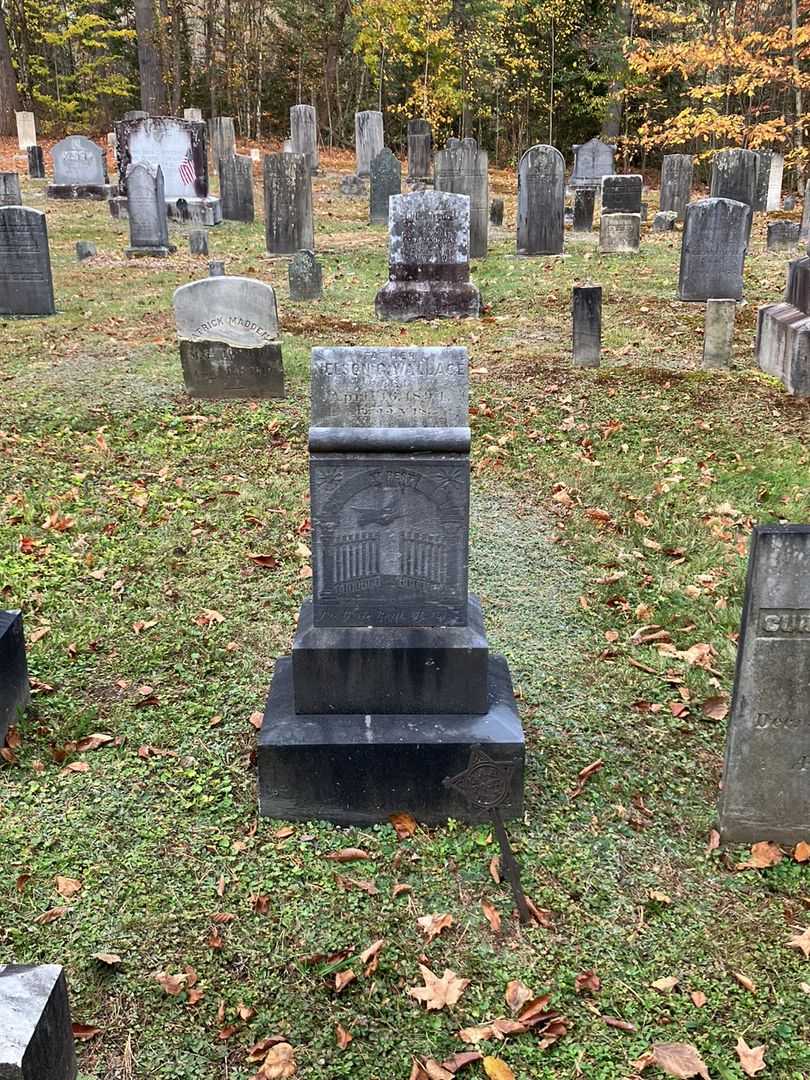 Nelson G. Wallace's grave. Photo 1