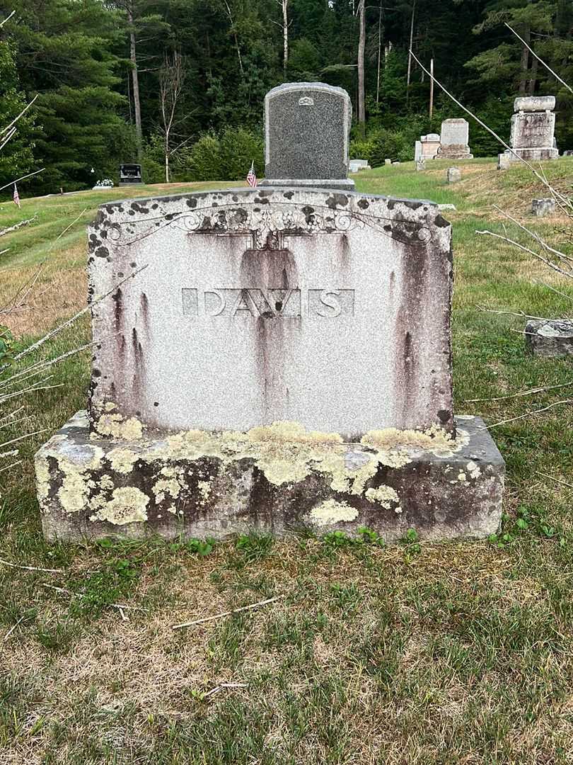 Baby Davis's grave