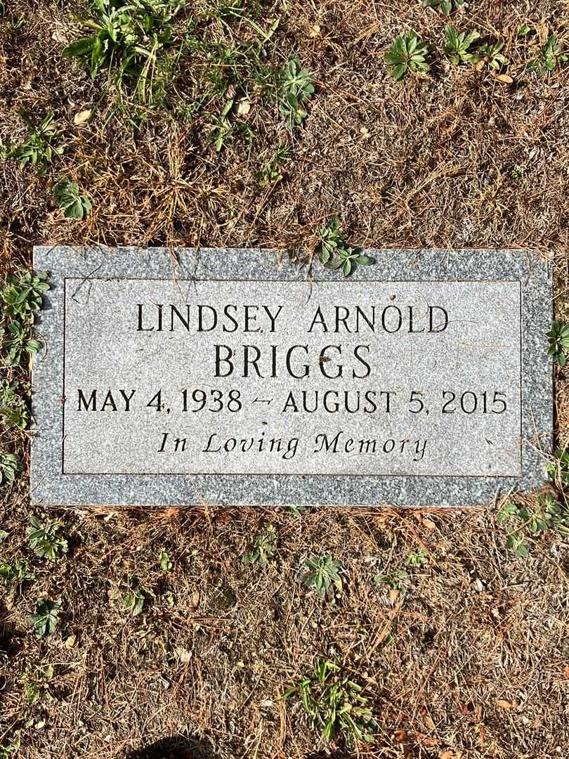 Lindsey Arnold Briggs's grave. Photo 2