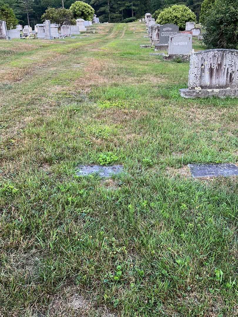 Cyrus H. Lewis's grave. Photo 2