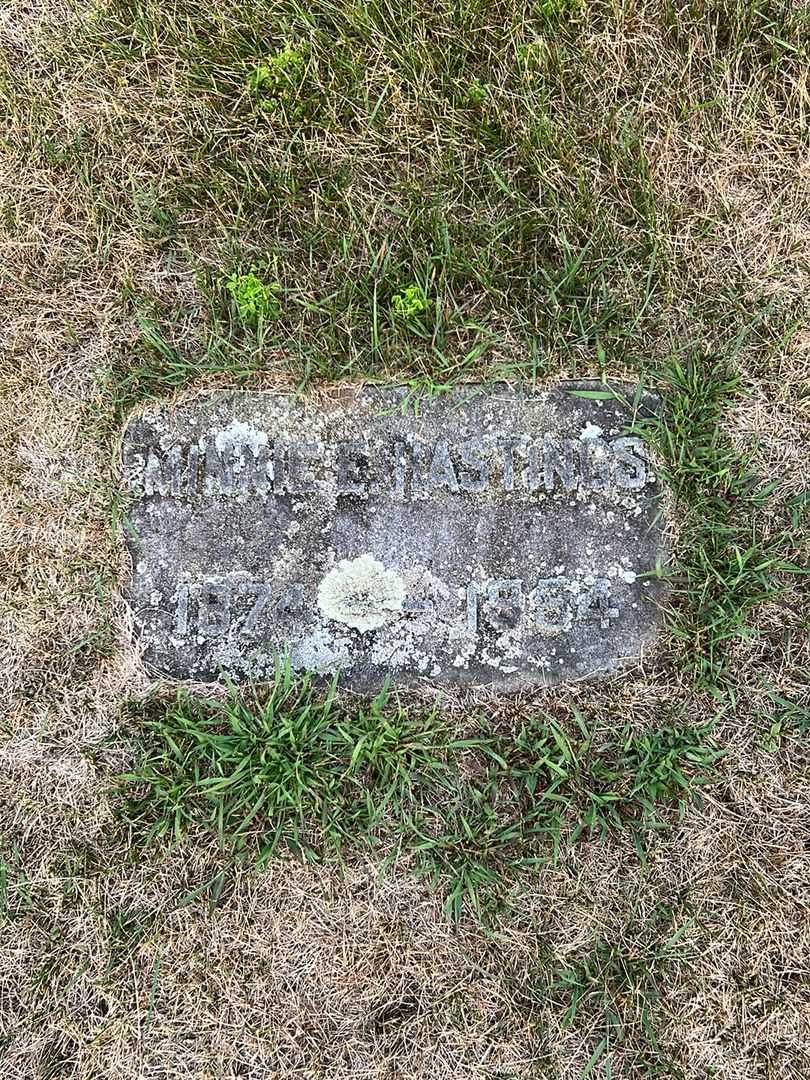 Minnie E. Nastings's grave. Photo 3