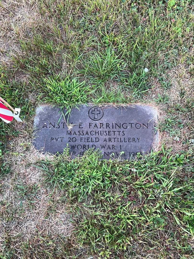 Anst Earl Farrington's grave. Photo 3