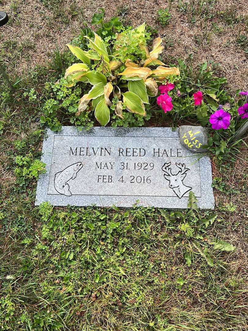 Melvin Reed Hale's grave. Photo 4