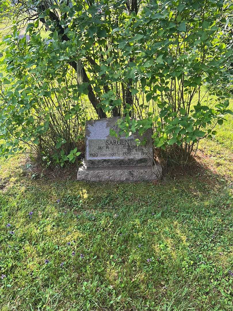 Jay H. Sargent's grave. Photo 1