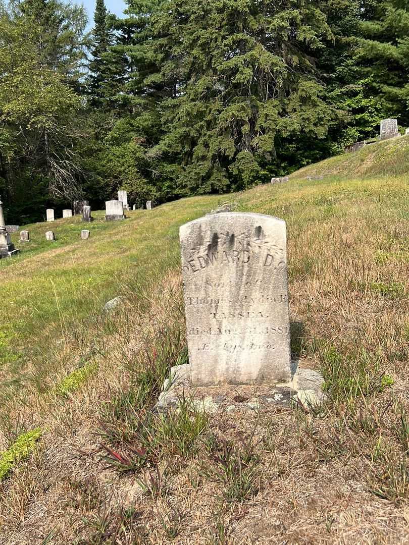 Edward D. Tassea's grave. Photo 2
