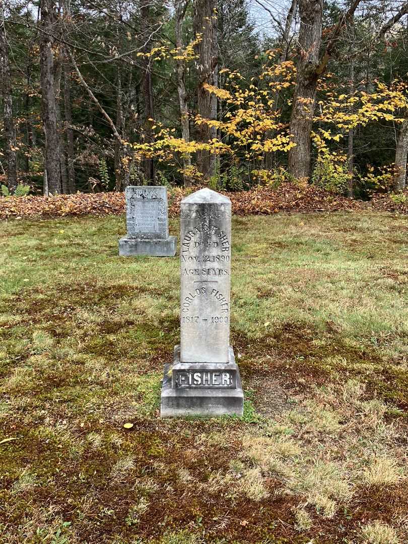 Corlos Fisher's grave. Photo 1