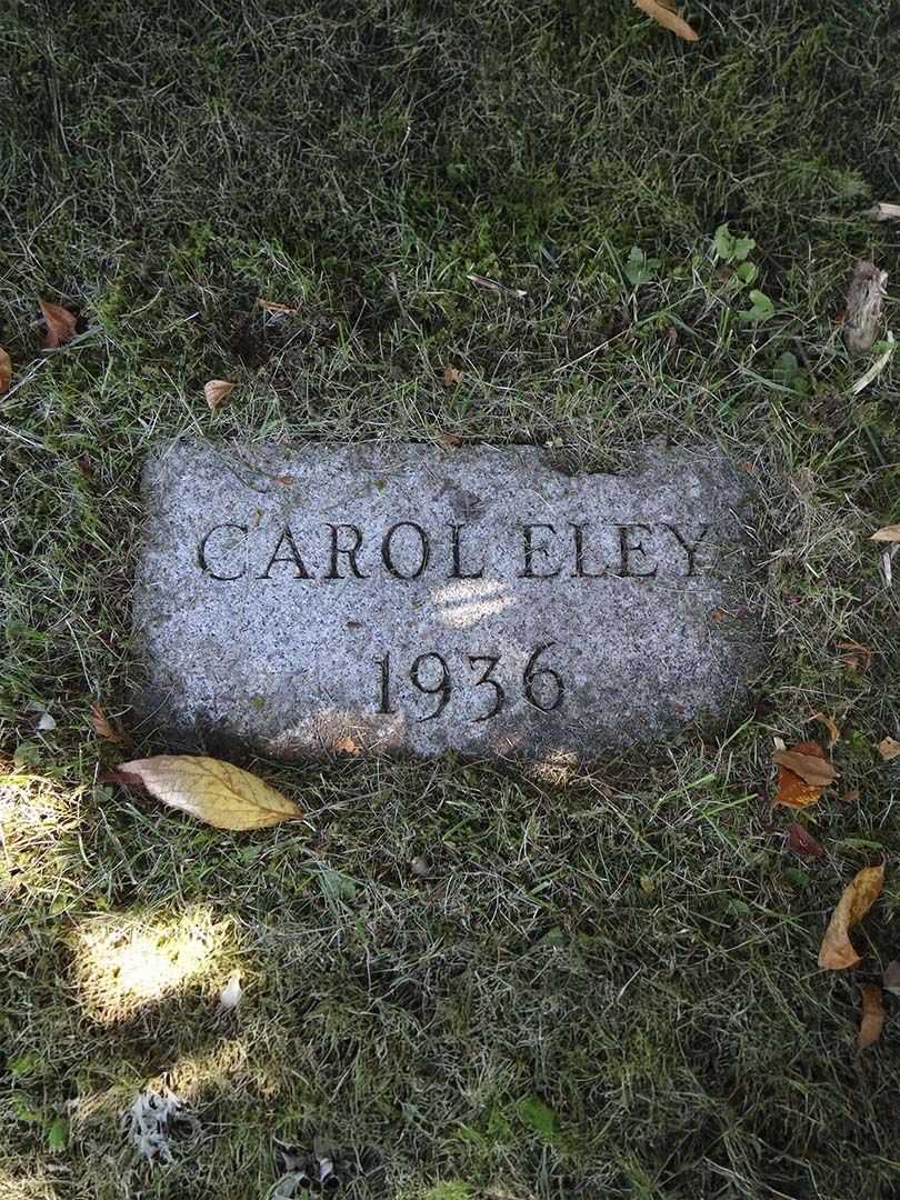 Carol Elaine Eley's grave