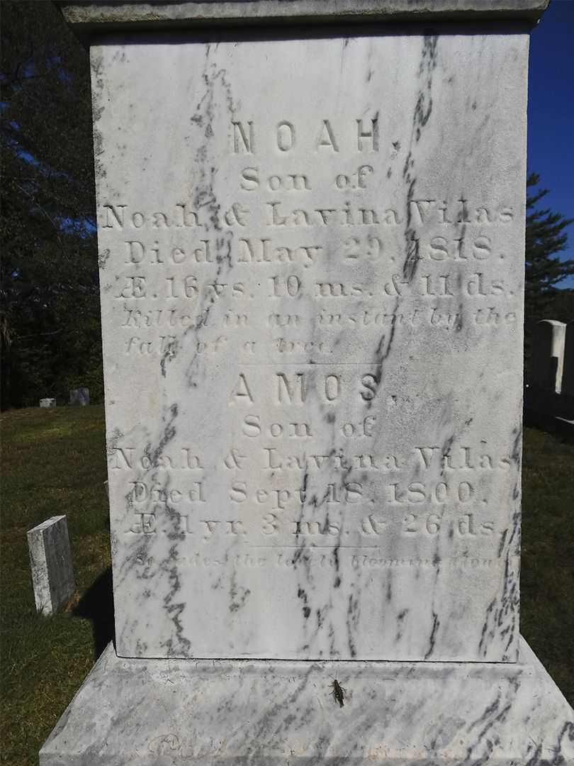 Noah Vilas's grave. Photo 2