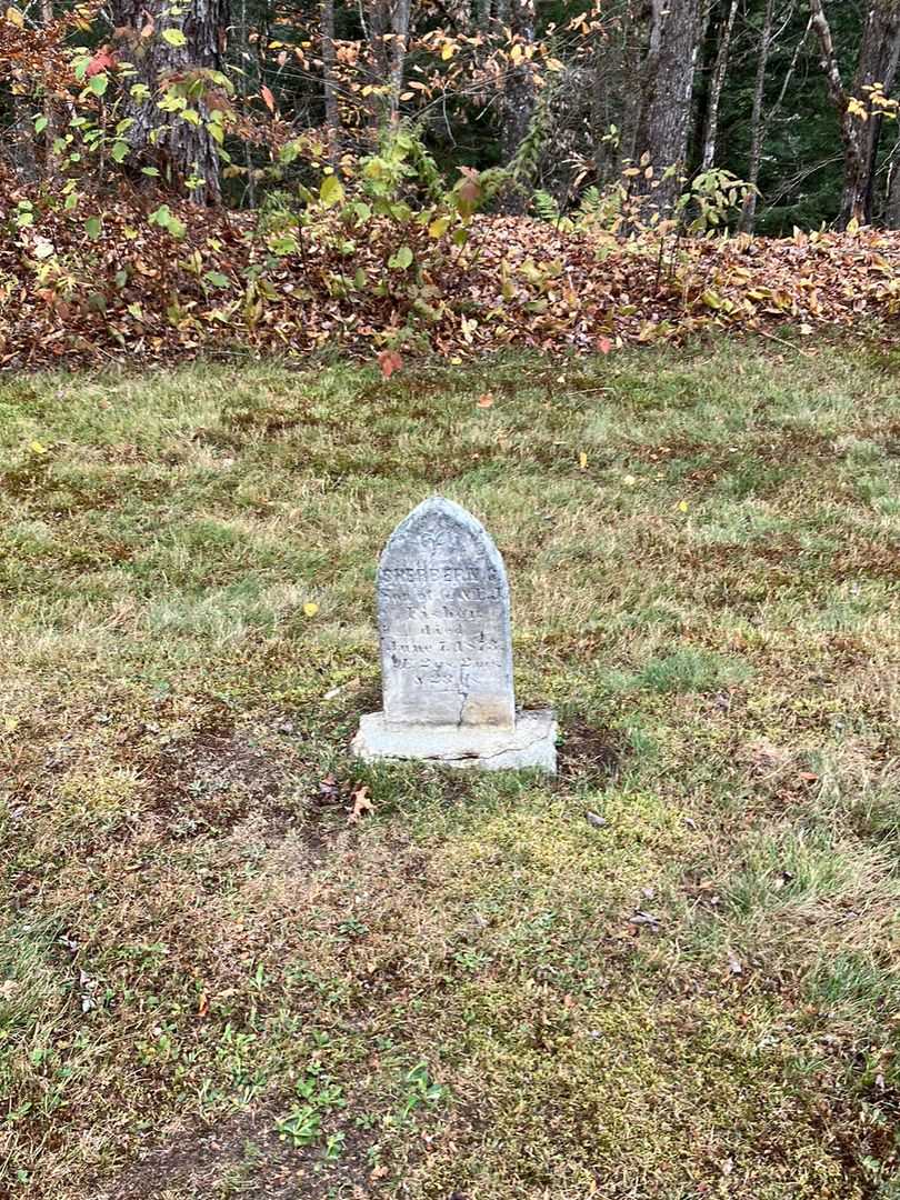 Sherbern G. Fisher's grave. Photo 1