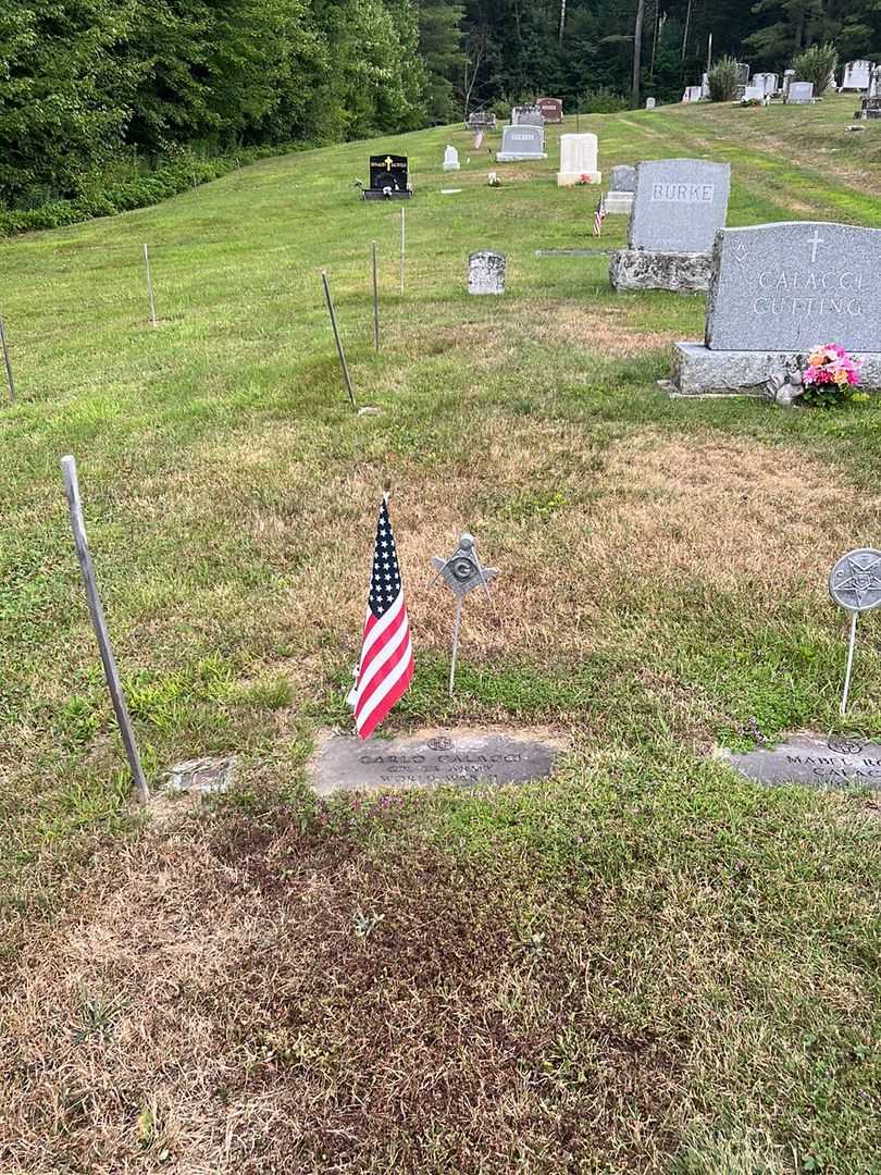 Carlo Calacci's grave. Photo 2