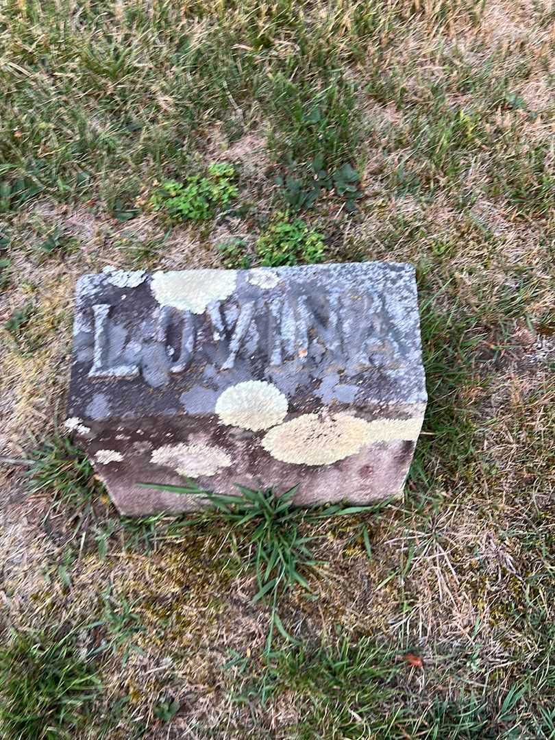 Lovina Kellogg Richardson's grave. Photo 3