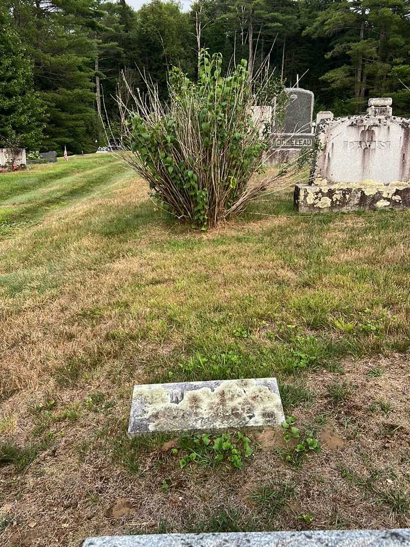 George H. Davis's grave. Photo 2