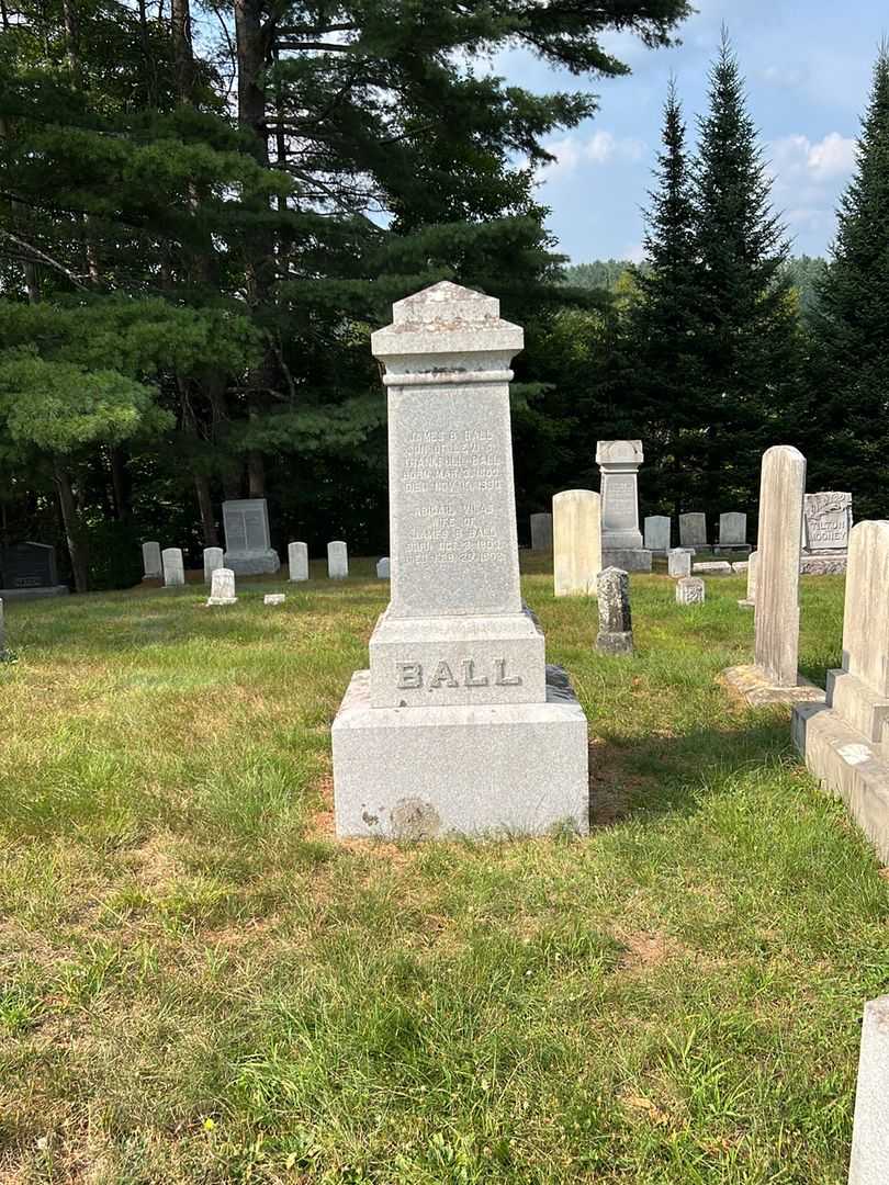 Abigail Vilas Ball's grave. Photo 1