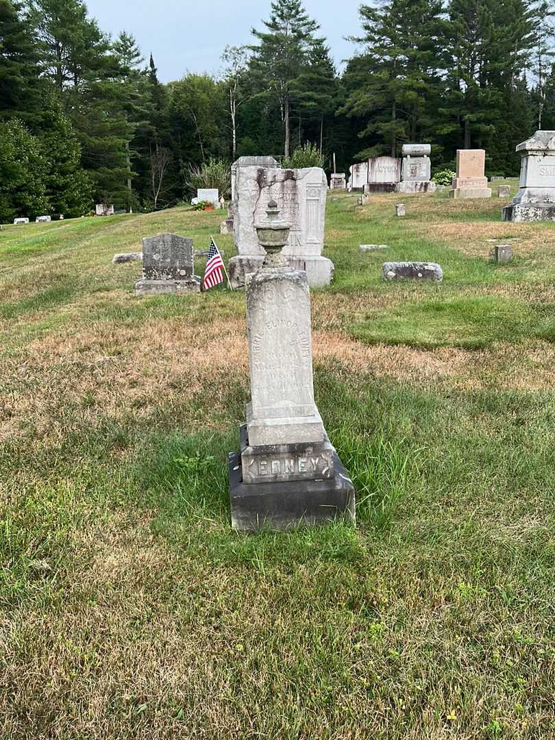 Carrie Elinor Edney's grave. Photo 1