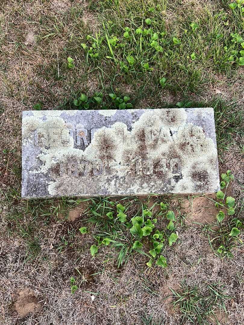 George H. Davis's grave. Photo 3