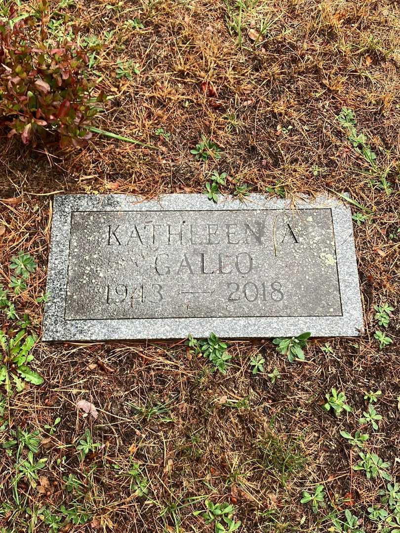 Kathleen A. Gallo's grave. Photo 3