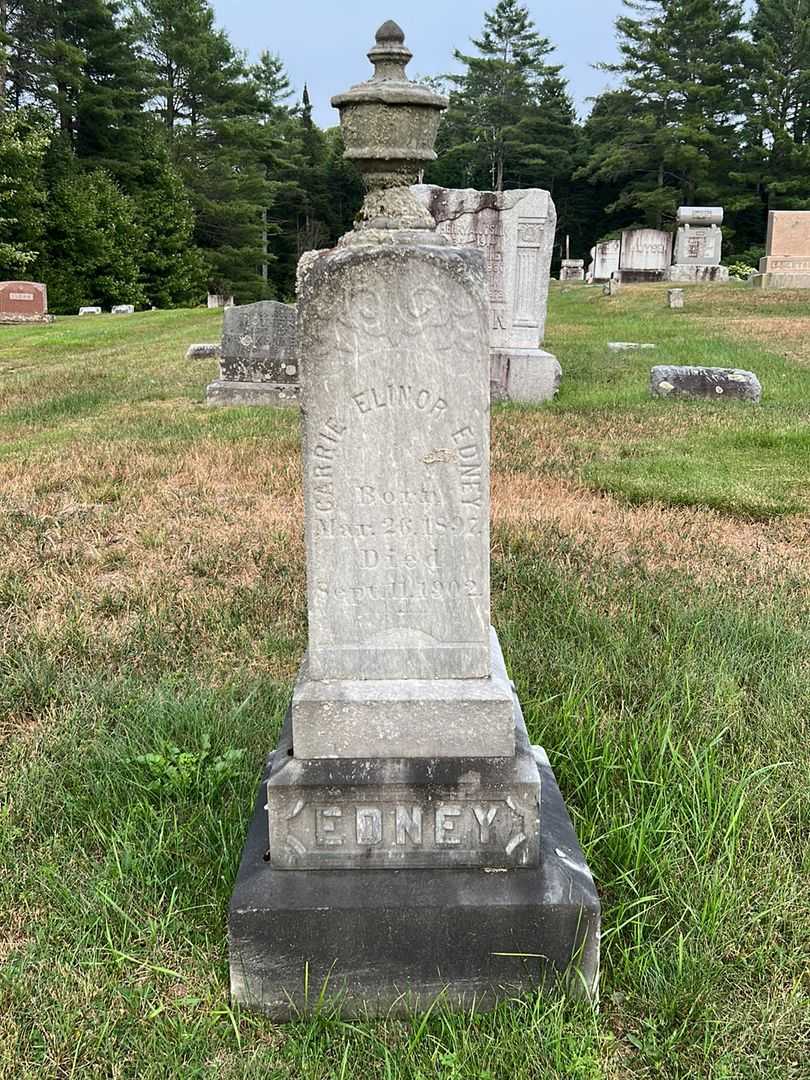 Carrie Elinor Edney's grave. Photo 2