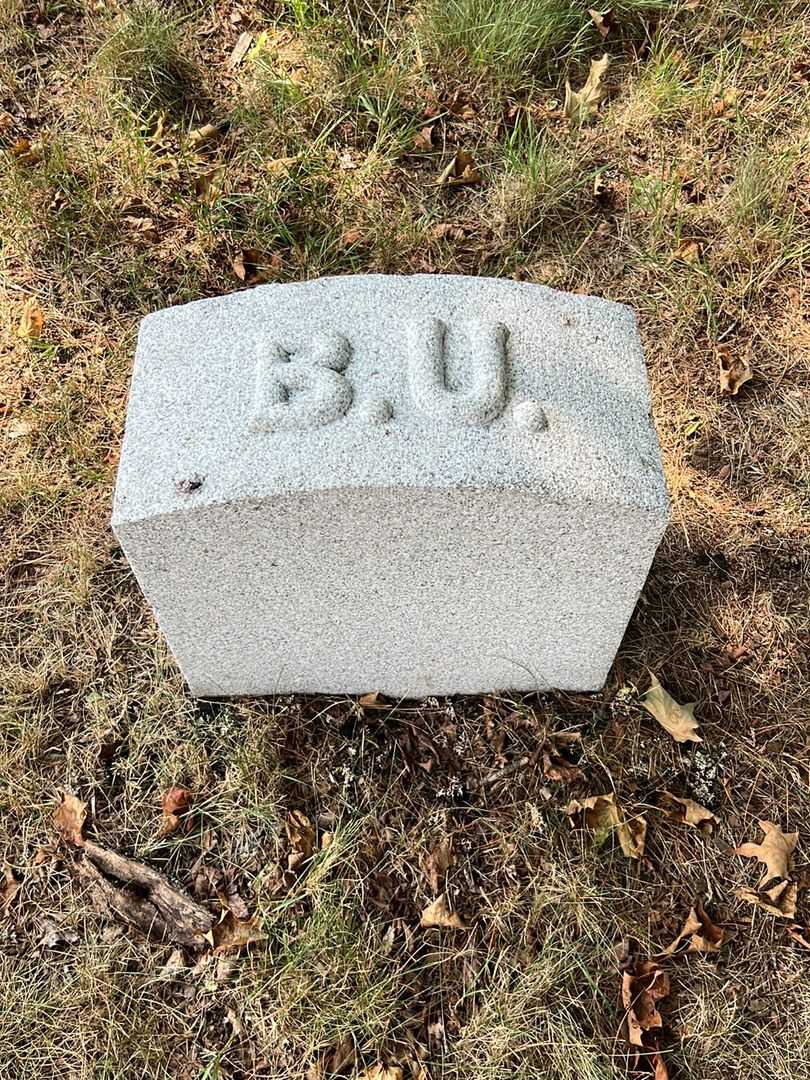 Brigham Underwood's grave. Photo 3