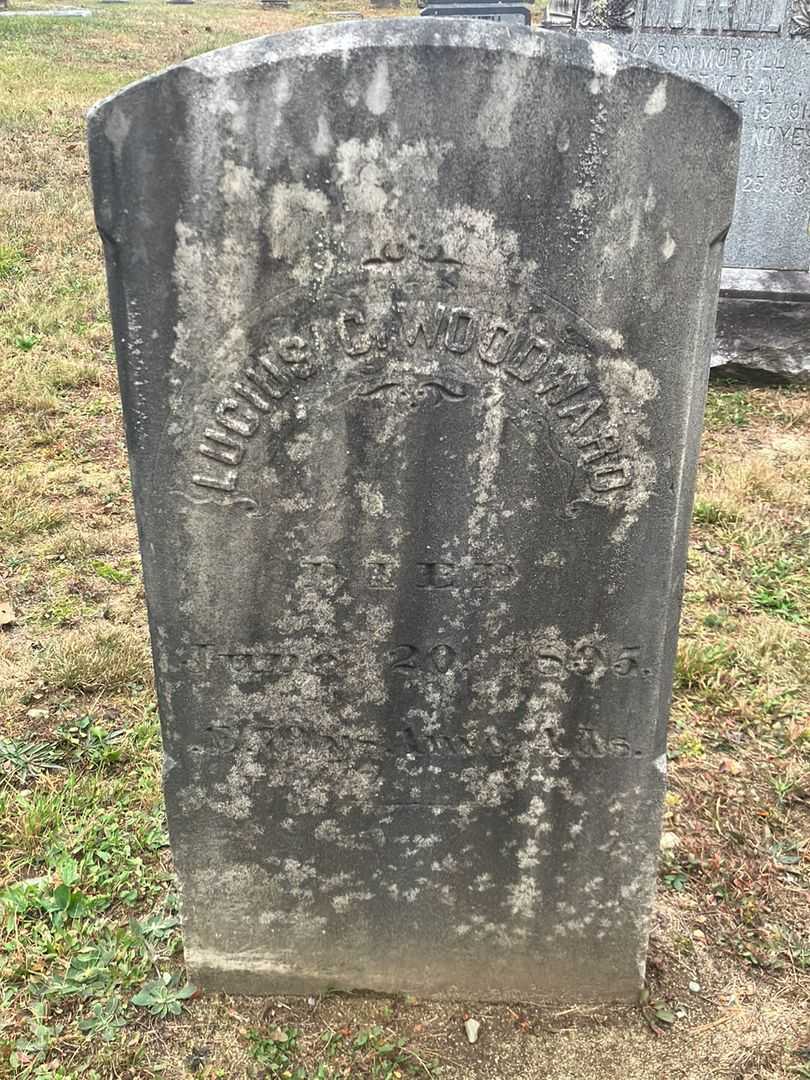 Lucius C. Woodward's grave. Photo 2