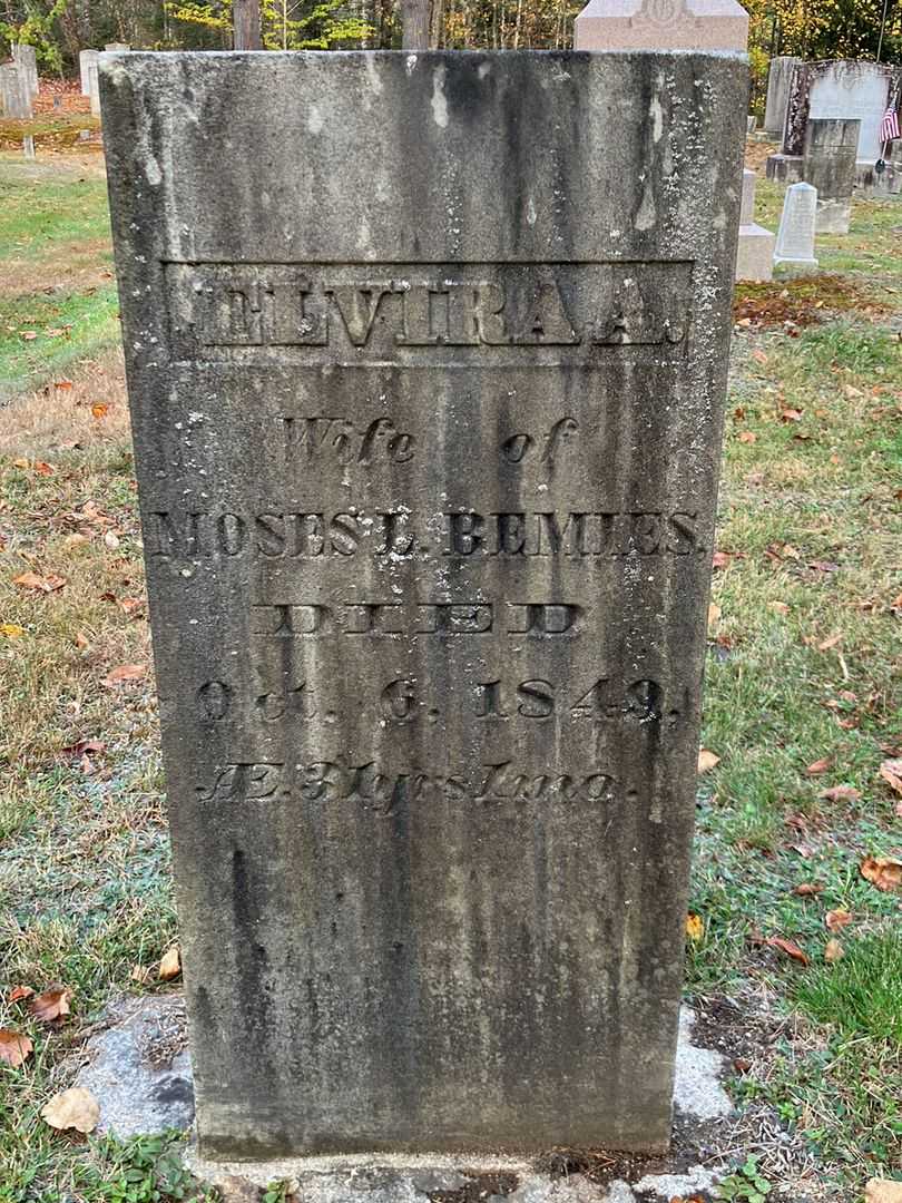 Elvira A. Bemies's grave. Photo 2