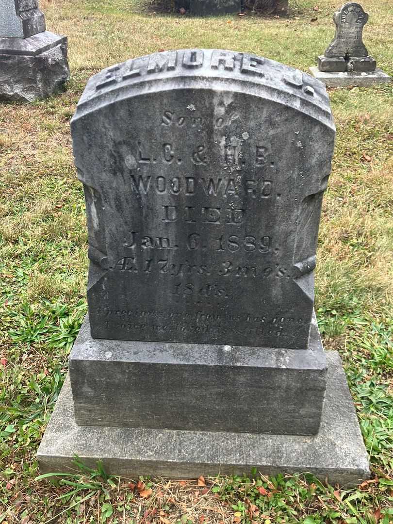 Elmore J. Woodward's grave. Photo 2