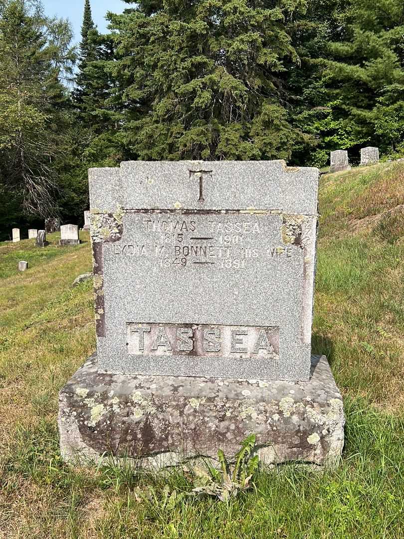 Thomas Tassea's grave. Photo 2