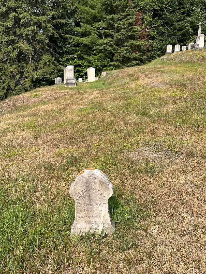 Charles Wesley Gee's grave. Photo 2