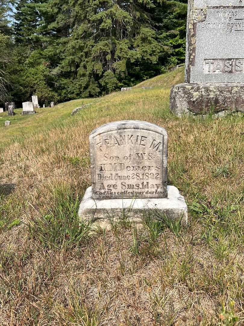 Frank M. "Frankie" Domers's grave. Photo 2