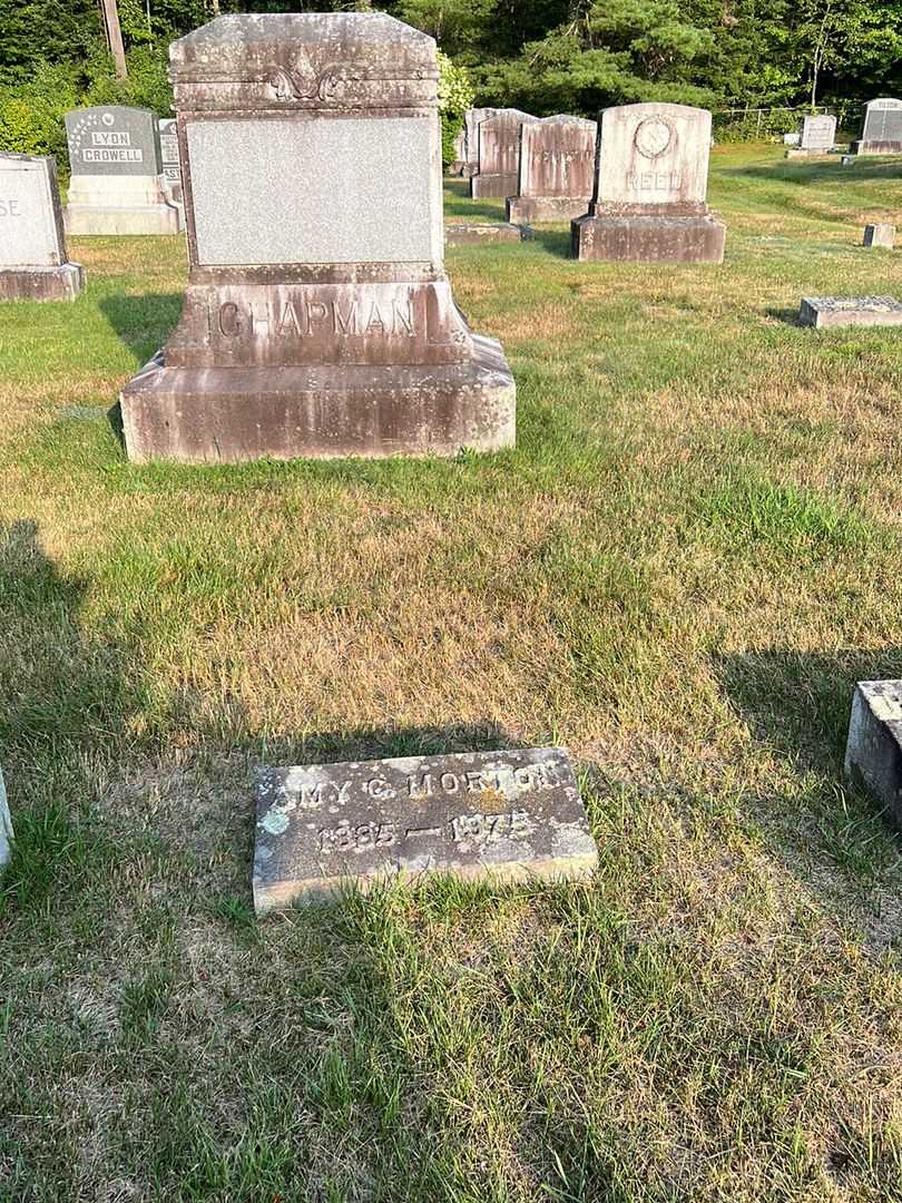 Amy C. Orton's grave. Photo 2