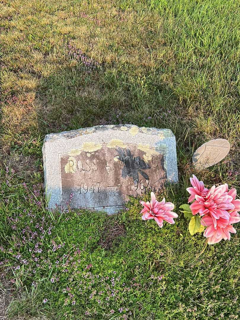 Ross A. Young's grave. Photo 2