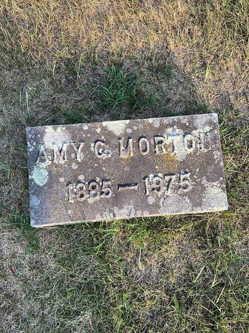 Amy C. Orton's grave. Photo 3