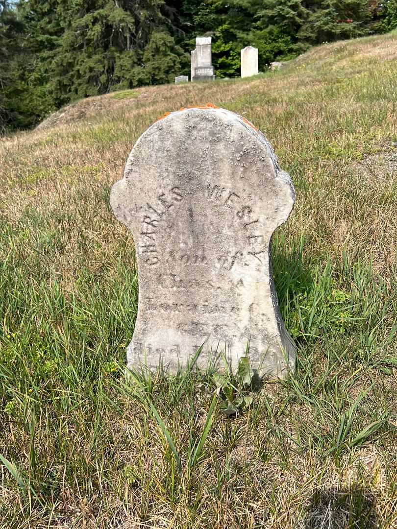 Charles Wesley Gee's grave. Photo 3