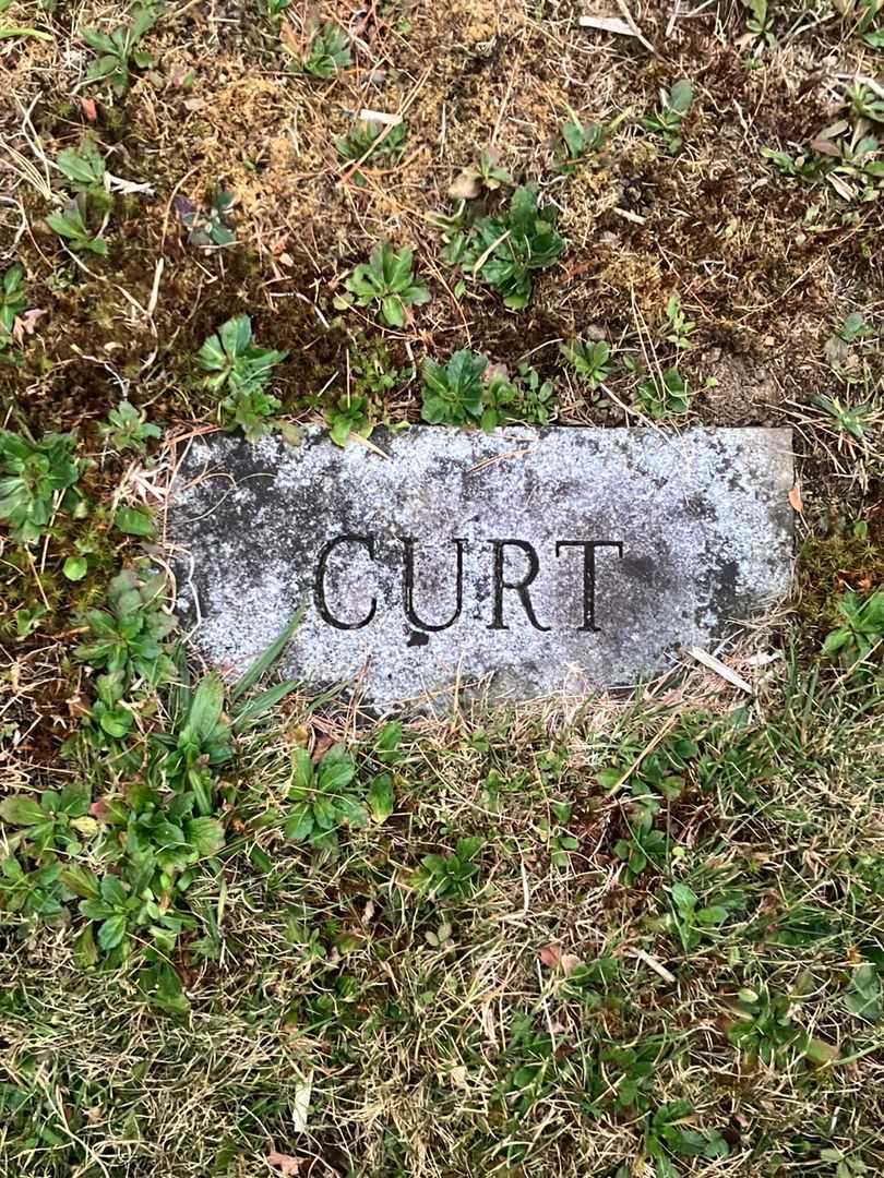 Curtis C. Goodall's grave. Photo 3