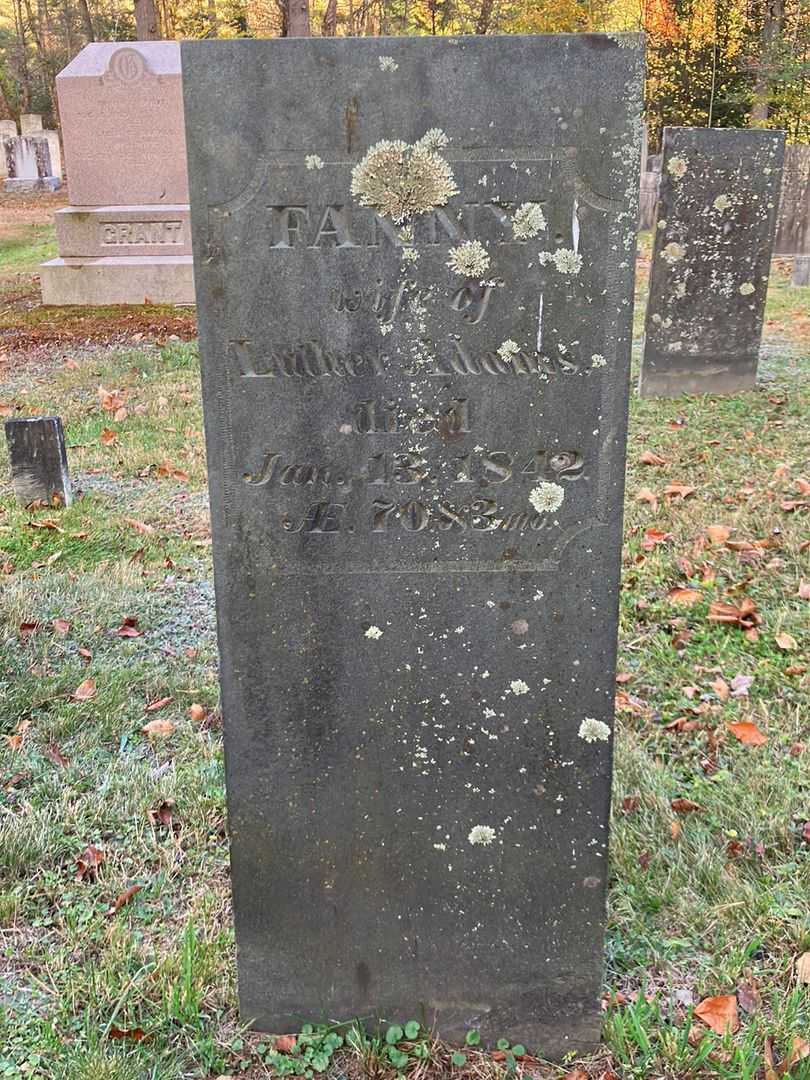 Fanny Adams's grave. Photo 2