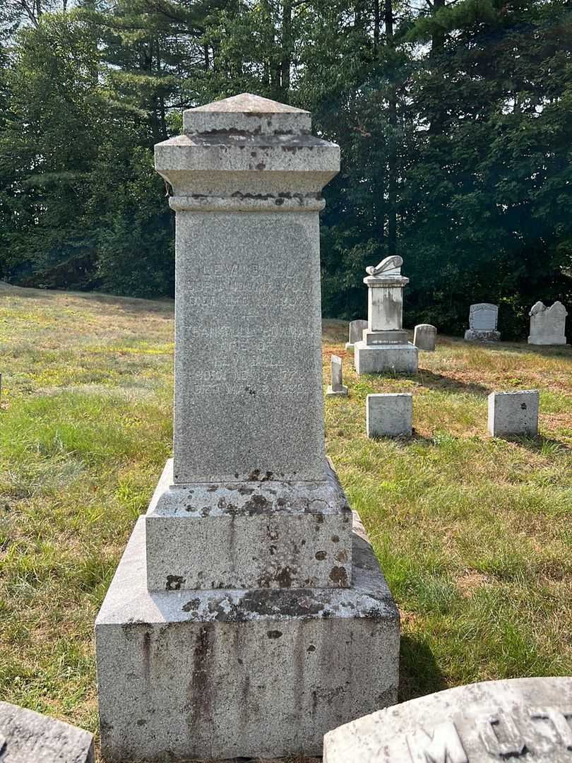 Levi Ball's grave. Photo 2