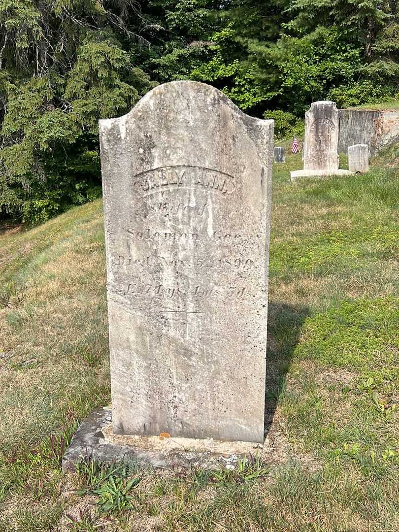 Sally Ann Gee's grave. Photo 2