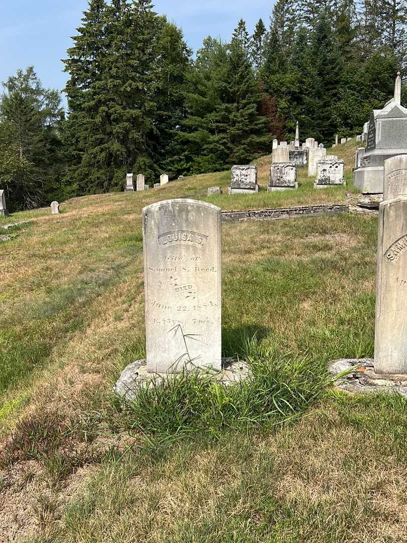 Louisa S. Reed's grave. Photo 1